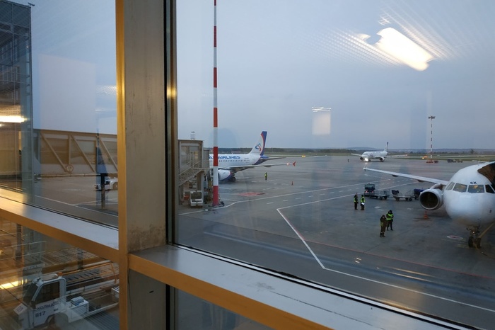 «Победа» пожаловалась в прокуратуру на аэропорт Сургута из-за отстранения от полета стюарда