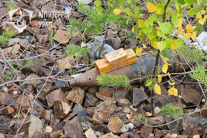 В лесу под Екатеринбургом нашли взрывоопасный снаряд