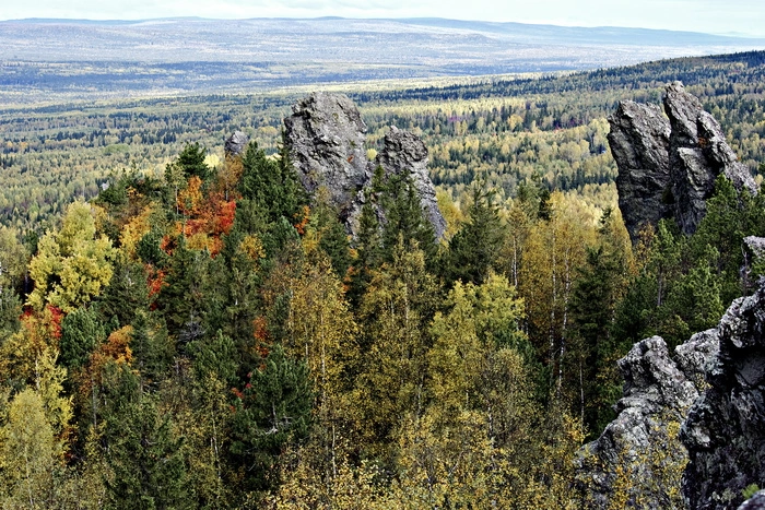 Староверы Красноярского края обучат военных навыкам выживания в тайге