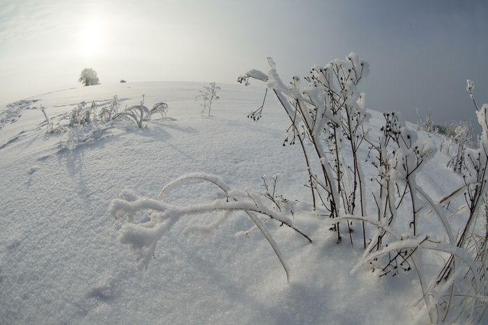 Директор Гидрометцентра РФ опроверг слухи о самой суровой за век зиме