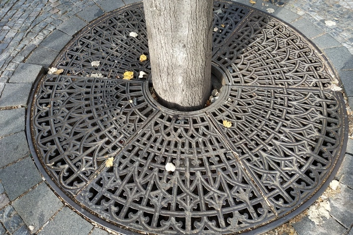 Подрядчика работ в сквере за Оперным обязали подлечить поврежденные деревья