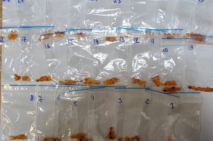 Екатеринбуржец попался на контрабанде ювелирных изделий из Таиланда за миллионы — фото