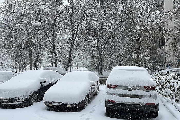 «И не надо его учить». В России предложили ввести для электромобилей цветные номера