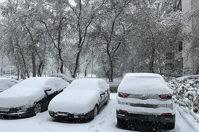 «И не надо его учить». В России предложили ввести для электромобилей цветные номера