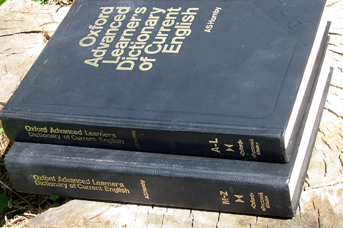 В Оксфордский список слов года попало одно русское