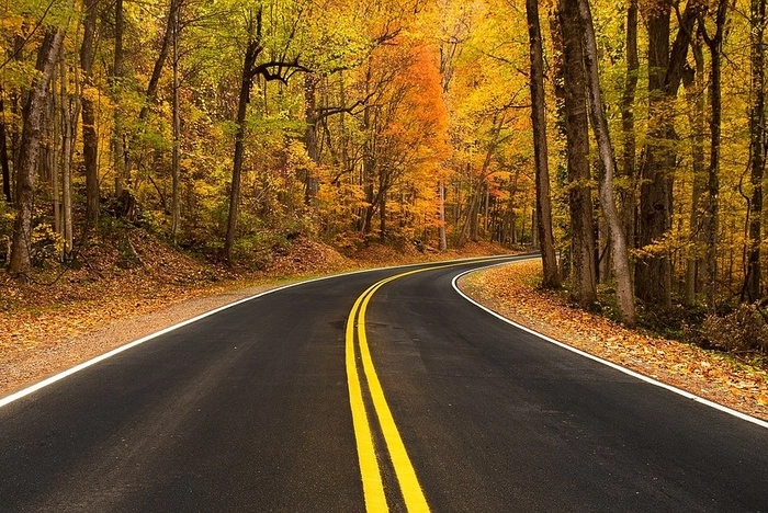 Премьер РФ поручил выделить больше средств на развитие дорог в малых городах и на селе