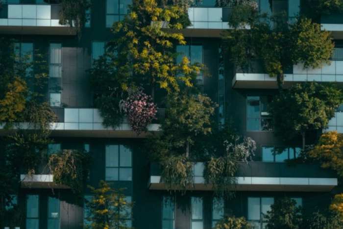 Создательница фестиваля «Атмосфера» предложила вертикальное озеленение фасадов