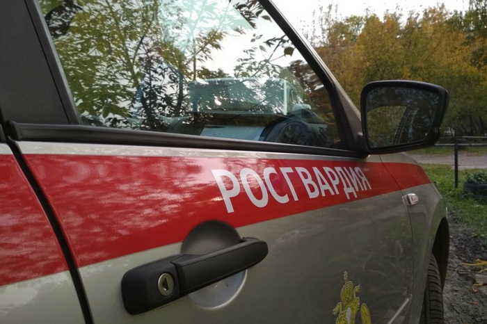 «Что-то случилось?»: в Екатеринбурге на улице Пушкина припарковались восемь машин Росгвардии