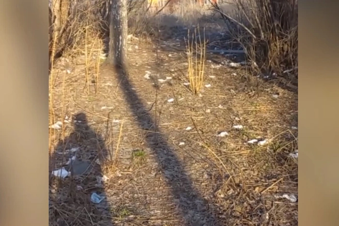 В Екатеринбурге у мемориала погибшим воинам устроили массовый туалет