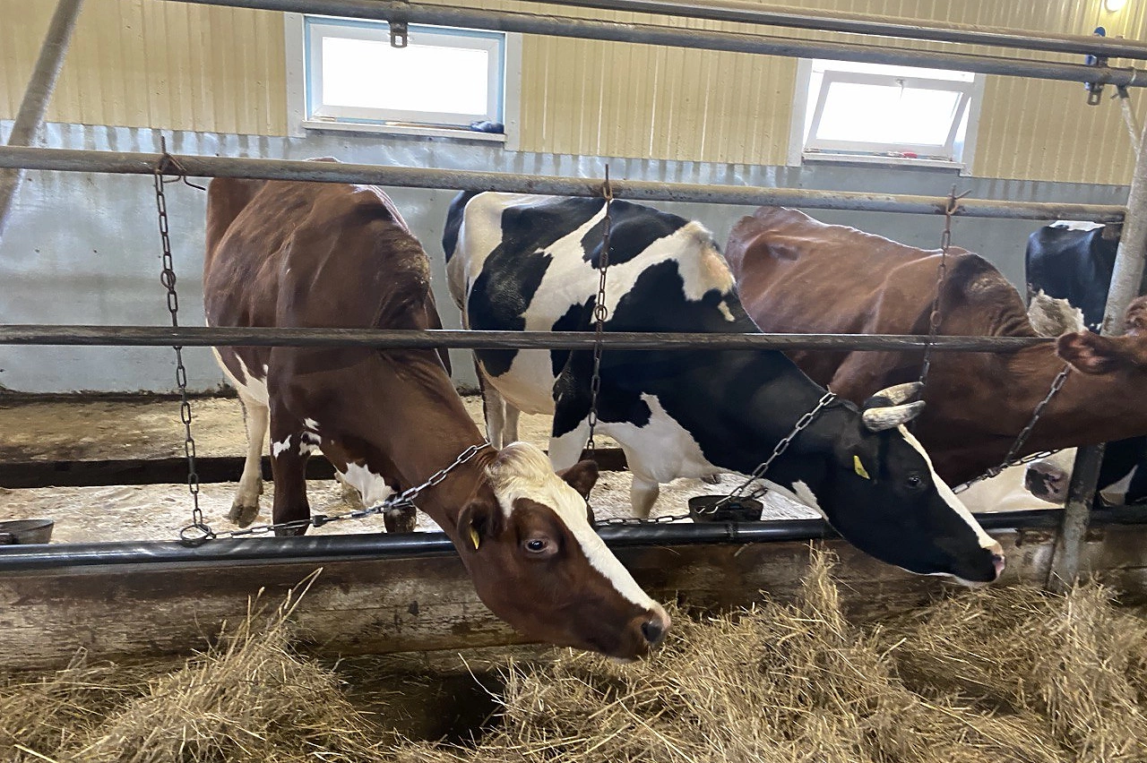 В Свердловской области с прилавков магазинов убирают опасный продукт