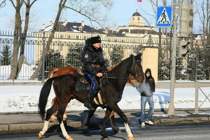 Полицейские с Эльмаша пожаловались в СКР на оскорбления от матери с ребенком