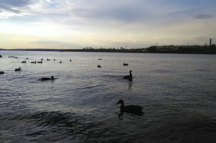 На пруду в Екатеринбурге отдыхающие обстреляли берег с лодки. Ранена женщина