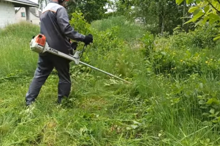 Екатеринбургские водители рассказали, как страдают от газонокосильщиков