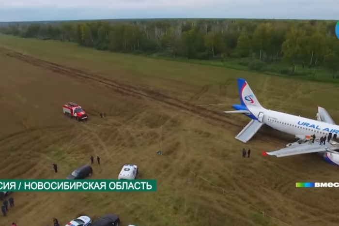 Посадившие самолет в поле под Новосибирском пилоты Ural Airlines потеряли работу