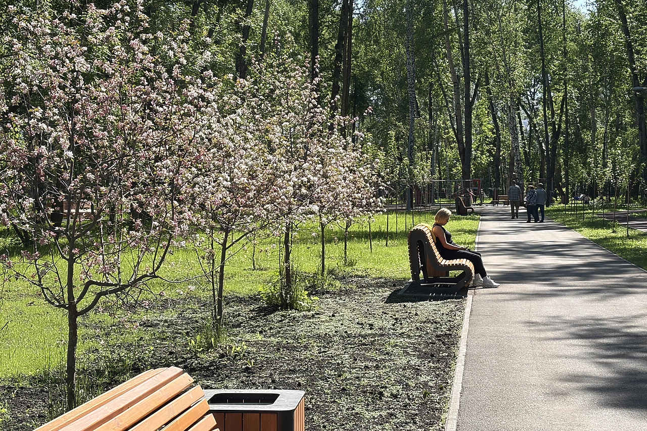 В Екатеринбурге решили объединить скверы в один огромный парк