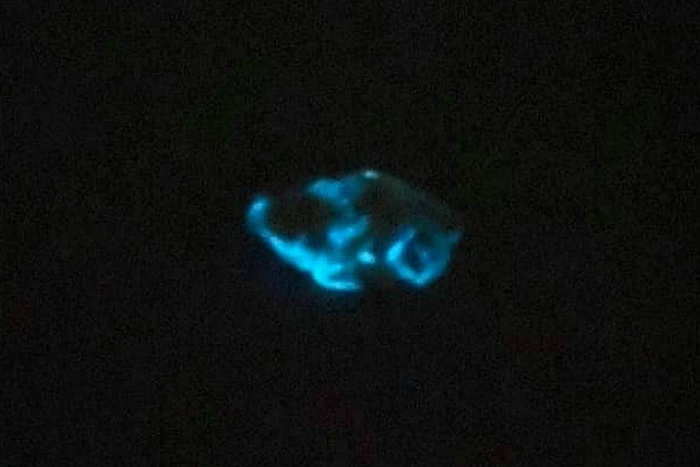 Жительница Украины купила светящуюся в темноте курицу и сварила из нее борщ