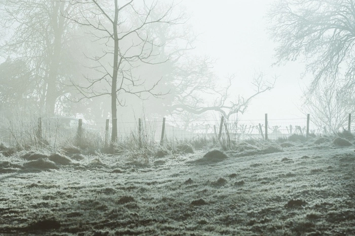 Свердловчанин замёрз насмерть возле проходной завода