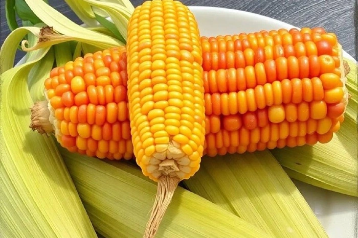 Американскую кукурузу не пустили на Урал