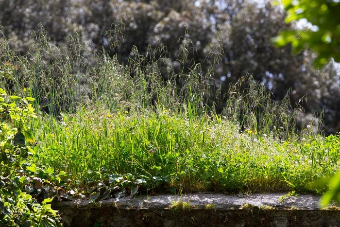 Чтобы меньше болеть, необходимо больше проводить времени на солнце