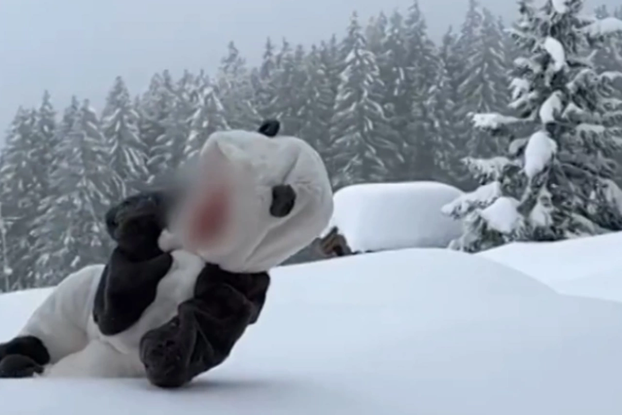 Блогера, который бросал в сугроб своего грудного ребенка, бросила жена