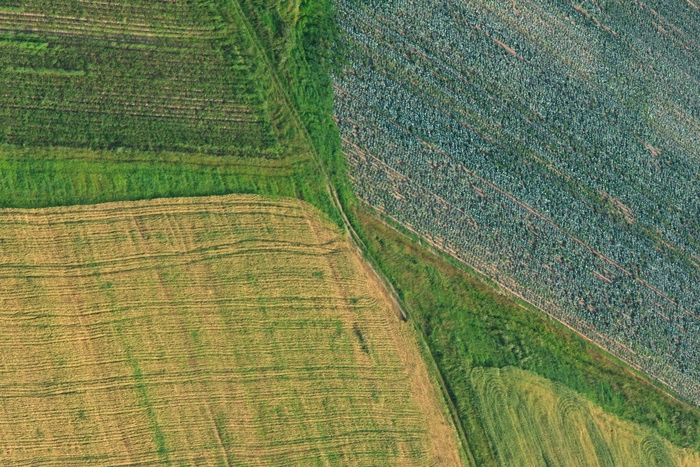 Правительство распределило почти 19 млрд рублей на развитие сельхозотрасли