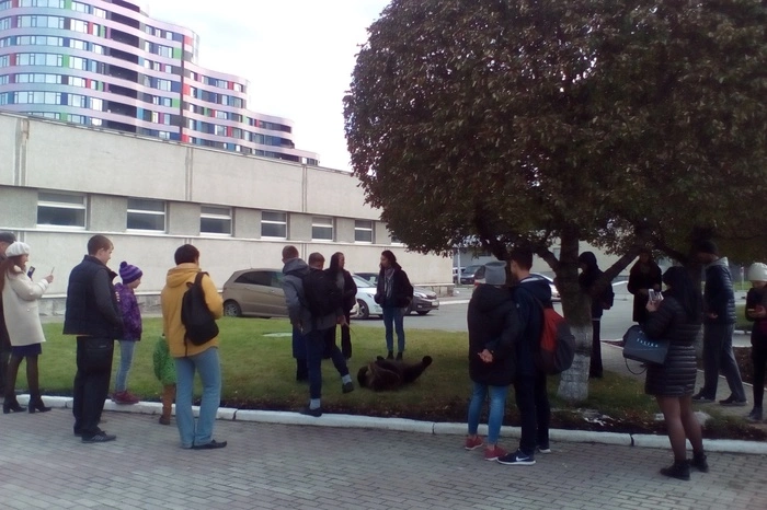 Медвежонок с дрессировщиками пообщался с прохожими возле Цирка в Екатеринбурге