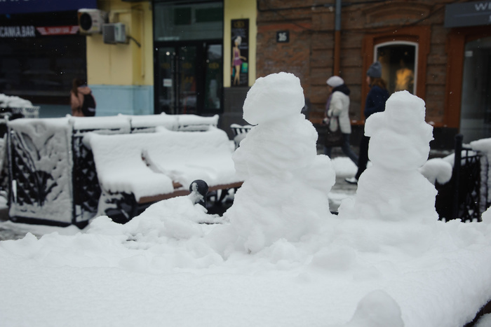Саратовских учительниц заставили собирать снег в мешки на морозе