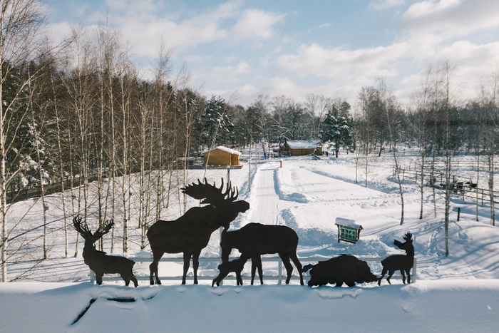 СК попросил арестовать мать ребенка, найденного в парке с мешком на голове