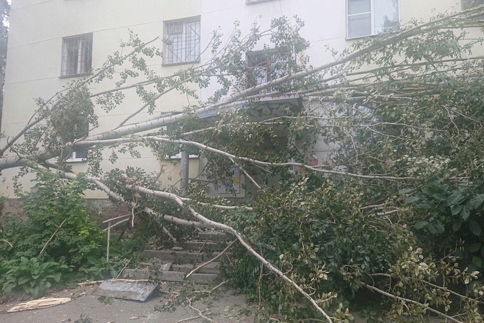 Сорванные крыши, упавшие деревья и транспортный коллапс: накануне Екатеринбург накрыл ураган