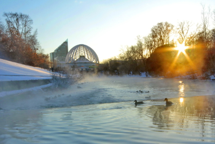 Погода в Екатеринбурге: температура будет прыгать с плюса на минус
