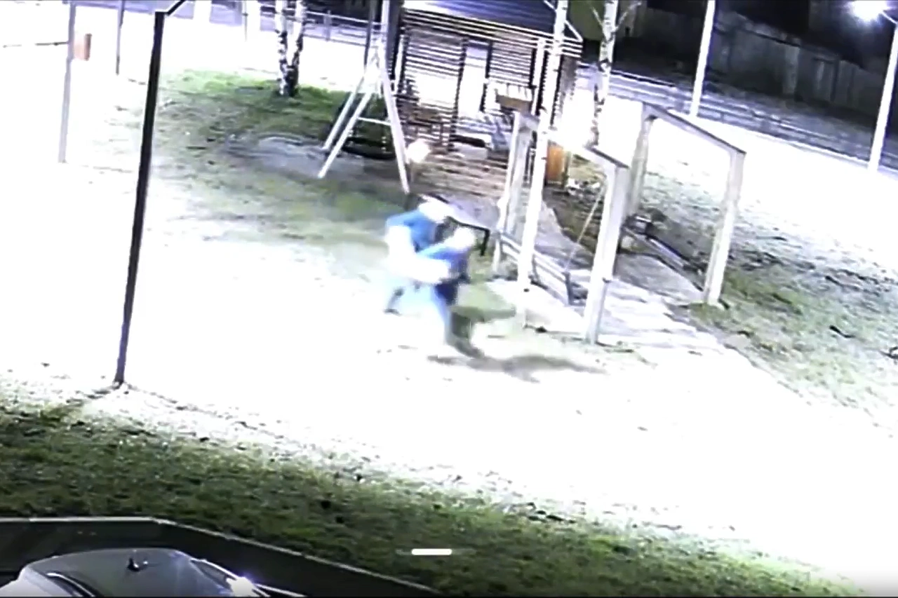 Под Екатеринбургом хулиганы ворвались в чужой дом, а потом разнесли детскую площадку