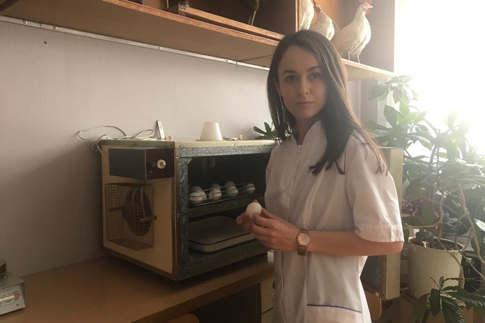 Уральские ученые создали технологию получения жидкости для вакцин из яиц