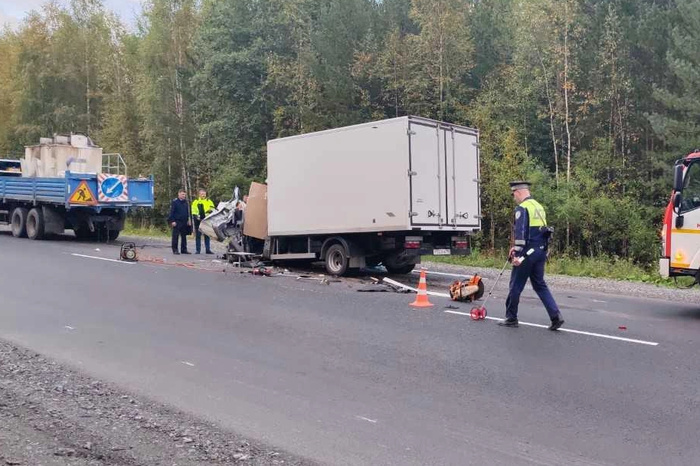 Водитель грузовика влетел в «КамАЗ» дорожных рабочих и погиб на месте