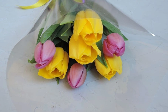 Экономист Ракша предложил ради замедления инфляции отменить 8 Марта