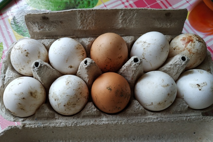 Роспотребнадзор выдал рекомендации по выбору куличей и яиц на Пасху