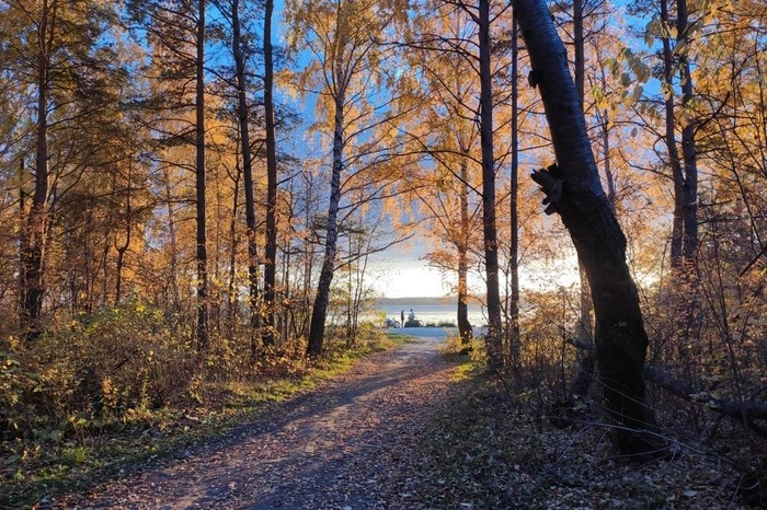 Ведущий екатеринбургский застройщик свозил отходы со строек к реликтовому озеру