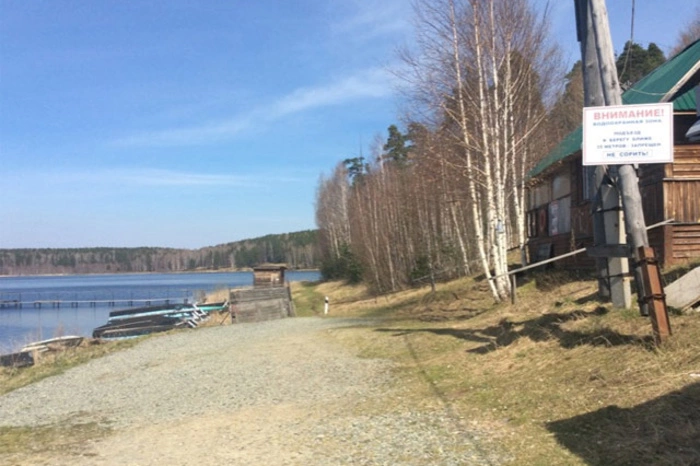 Телефон детей, пропавших в болотах под Дегтярском, запеленговали