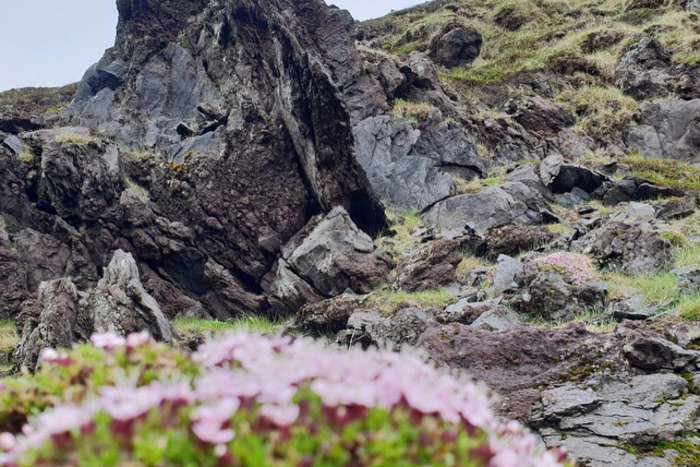 Названы самые фотографируемые места в мире