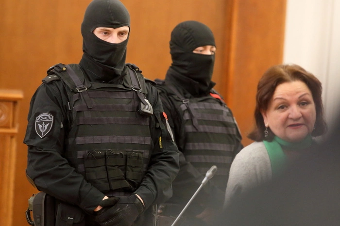 Россиянин после двойного убийства отделался исправительными работами и был освобождён в зале суда