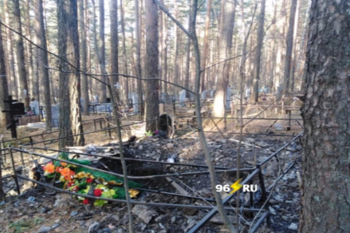 В Нижнем Тагиле медведь разрыл свежую могилу и обглодал труп