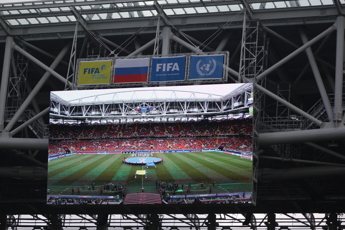 Bild: Россия и Катар не покупали право принять у себя чемпионаты