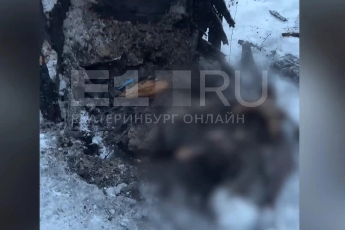 В Екатеринбурге играющие на улице дети нашли человеческий скелет