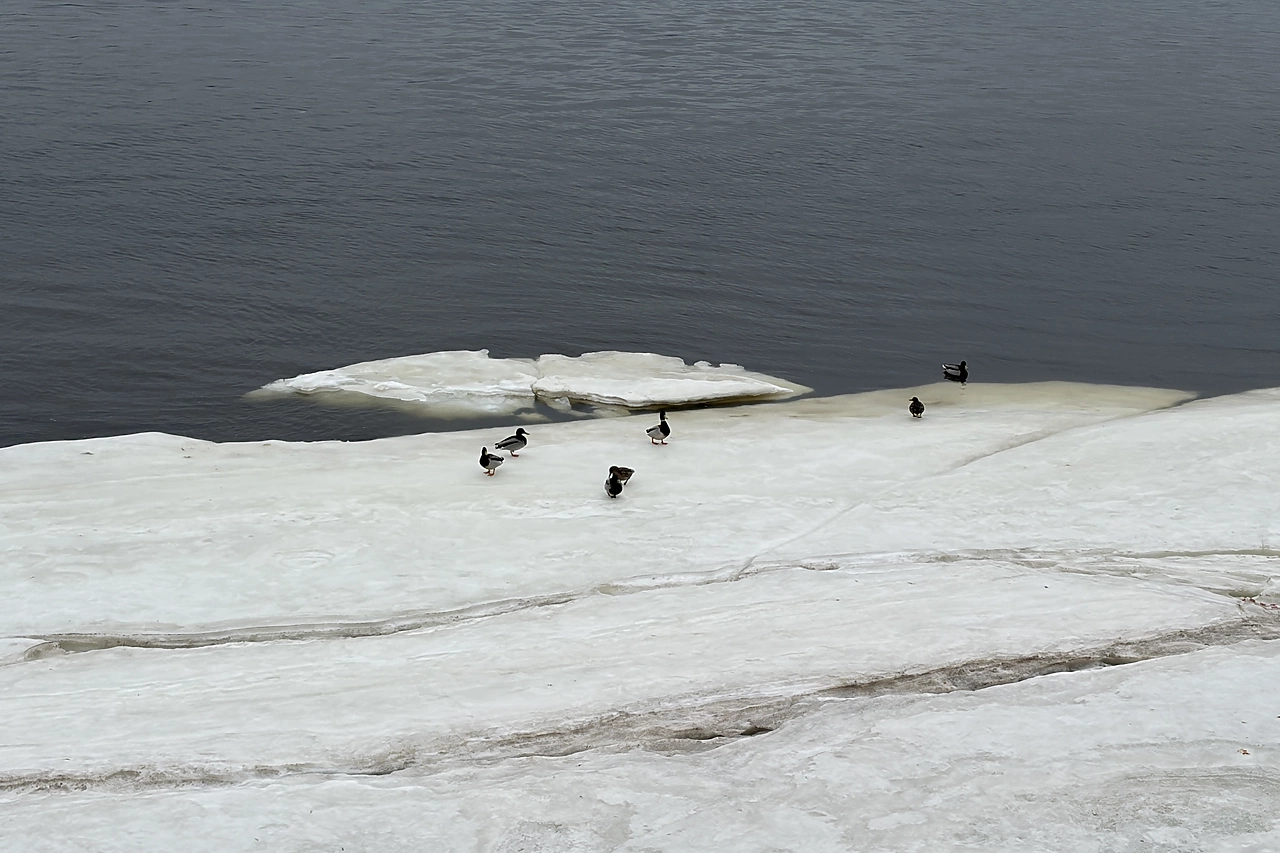 Трое друзей не вернулись с рыбалки в Свердловской области