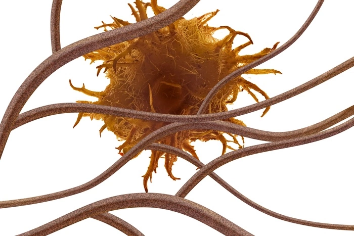 Назван главный способ уберечься от рака