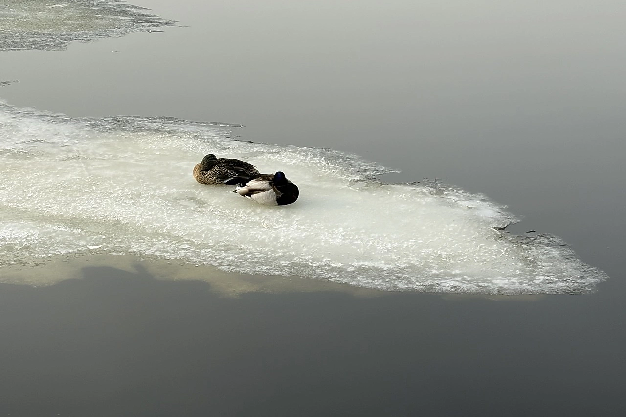 В Екатеринбурге закрывают дендропарк