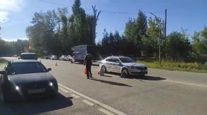 По снимкам с места ДТП видно, что наезд произошел в зоне видимости знака нерегулируемого пешеходного перехода