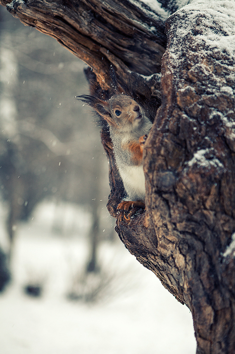 Фото: пользователя lucky из фотоальбомов Uralweb 