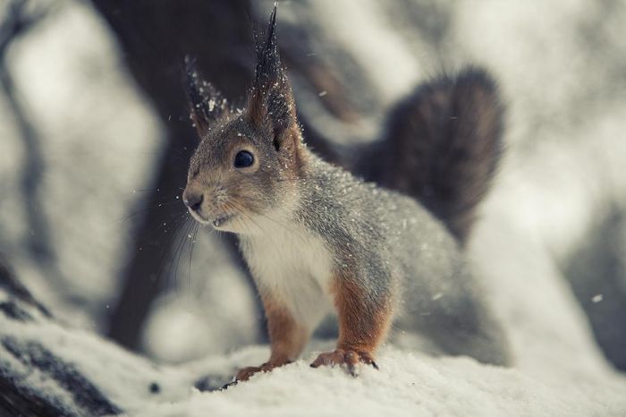 Фото: пользователя lucky из фотоальбомов Uralweb