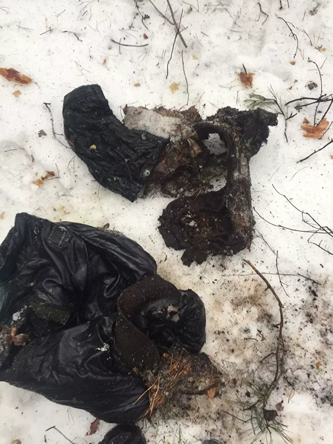 На месте обнаружения останков, предположительно, принадлежащих пропавшей Екатерине Левченко. Фото: ria.ru