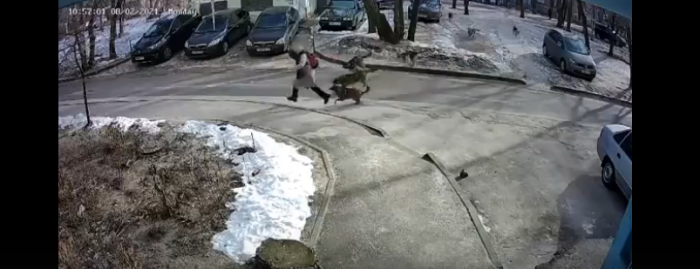 Фото: скрин видео vkvideo.ru